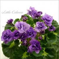 Little Caboose (миниатюра) (дет) - код Ф952 **