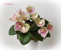 ЛЕ-Ярита (миниатюра) (дет) - код Ф915