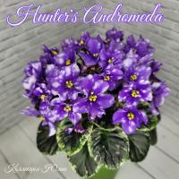 Hunter's Andromeda (миниатюра) (л/ср) - код Ф1026