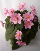 Ramblin’ Peach (трейлер) (л/ук) - код Ф937 Ramblin’ Peach (трейлер) (л/ук) - код Ф937