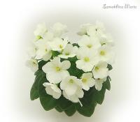 Jolly Blanko Baby (миниатюра) (л/ср) - код Ф690