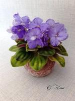 OS-Нега (миниатюра) (л/ук) - код Ф631