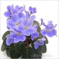 Little Lazzaree (миниатюра) (л/ср) - код Ф522