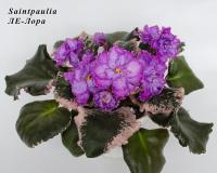 ЛЕ-Лора (стандарт) (л/ук) - код Ф916