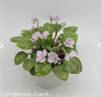 Серебряный Дождь (трейлер-листовая химера) (п/ук) - код Ф036