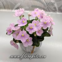 АВ-Куколка (миниатюра) (л/ср) - код Ф455