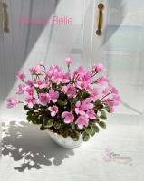 Brazos Belle (микро-трейлер) (л/ук) - код Ф628 Brazos Belle (микро-трейлер) (л/ук) - код Ф628