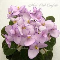 Ness' Pink Confetti (миниатюра) (дет) - код Ф959