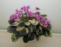 Ellie Gardner (трейлер) (л/ук) - код Ф012 Ellie Gardner (трейлер) (л/ук) - код Ф012