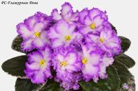 РС-Гламурная Дева (стандарт) (л/ук) - код Ф606 **