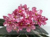 МТ-Лунная Роса (стандарт) (л/ук) - код Ф792