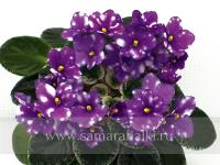 Hunter's Lil Pissah (миниатюра) (л/ср) - код Ф1023