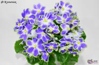 Ф-Кузнечик (стандарт) (л/ук) - код Ф746