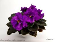 Н-Хакасия (миниатюра) (л/ср) - код Ф697 **