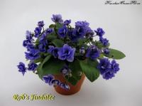 Rob's Jindalee (трейлер) (л/ук) - код Ф735 Rob's Jindalee (трейлер) (л/ук) - код Ф735