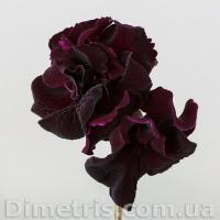 DS-Багира (дет) - код С085