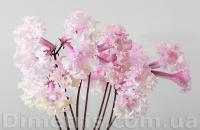 DS-2036 (дет) - С152