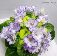 Н-Лунная Река (миниатюра) (л/ср) - код Ф091