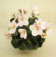 Mouse Maid (миниатюра) (л/ср) - код Ф665