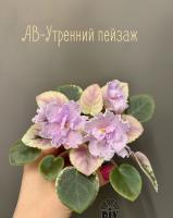 АВ-Утренний Пейзаж (миниатюра) (л/ср) - код Ф520