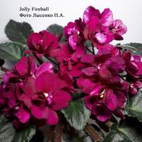 Jolly Fireball (миниатюра) (л/ср) - код Ф176 **