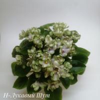 Н-Лукавый Шут (трейлер) (л/ук) - код Ф977 Н-Лукавый Шут (трейлер) (л/ук) - код Ф977