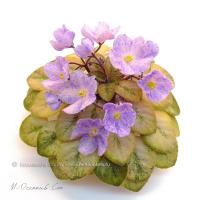 Н-Осенний Сон (миниатюра) (дет) - код Ф898 **