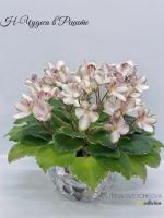 Н-Чудеса в Решете (миниатюра) (л/ср) - код Ф513