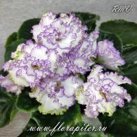 АВ-Кринолин (стандарт) (дет) - код Ф350 **