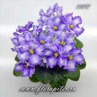 Ф-Зеркало Души (миниатюра) (л/ср) - код Ф1033