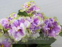 ЛЕ-Загадка (стандарт) (л/ук) - код Ф668