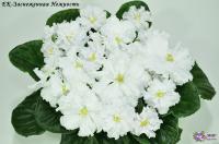 ЕК-Заснеженная Нежность (стандарт) (л/ук) - код Ф757 **