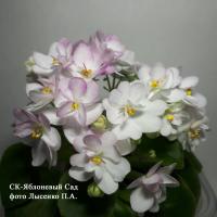 СК-Яблоневый сад (миниатюра) (л/ср) - код Ф166