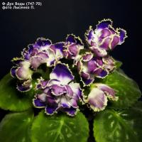 Ф-Дух Воды (стандарт) (л/ук) - код  Ф214 **