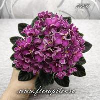 Hunter's Taste of Her Kiss (миниатюра) (л/ср) - код Ф494