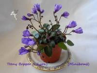 Teeny Bopper (микро-трейлер) (л/ср) - код Ф020 Teeny Bopper (микро-трейлер) (л/ср) - код Ф020