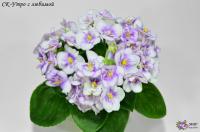 СК-Утро с любимой (миниатюра) (л/ср) - код Ф157 **