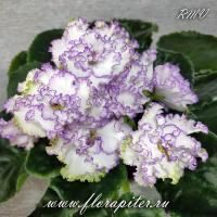 АВ-Кринолин (стандарт) (л/ук) - код Ф350 **