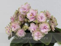 Jolly Imp (миниатюра) (л/ук) - код Ф726