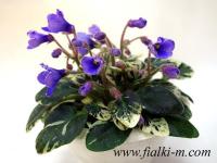 Н-Синий Лен (миниатюра) (л/ср) - код Ф869