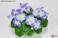 Shirl's Hawaiian Lei (миниатюра) (л/ук) - код Ф375 **