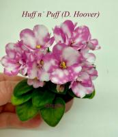 Huff’n Puff (миниатюра) (л/ук) - код Ф283