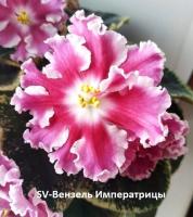 SV-Вензель Императрицы (стандарт) (л/ук) - код Ф187 **