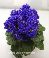 Lyon's Little Sweetheart (миниатюра) (л/ср) - код Ф1020