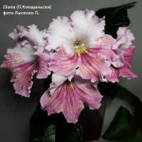 (K) Diana (дет) - код С038