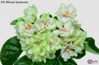 ЕК-Танец Кувшинок (стандарт) (л/ук) - код Ф769 **