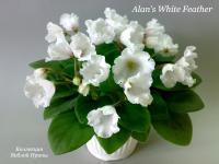 Alan’s White Feather (миниатюра) (л/ср) - код Ф923 **