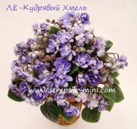 ЛЕ-Кудрявый Хмель (трейлер) (л/ук) - код Ф968 ЛЕ-Кудрявый Хмель (трейлер) (л/ук) - код Ф968