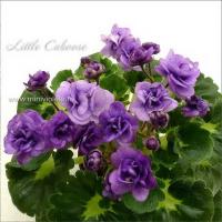 Little Caboose (миниатюра) (л/ср) - код Ф952 **