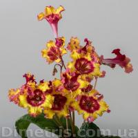 DS-Огненный Заяц (Новинка) (дет) - код С064